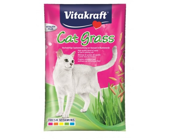 VITAKRAFT CAT GRASS UTANTOLTO 50 G, 2424027